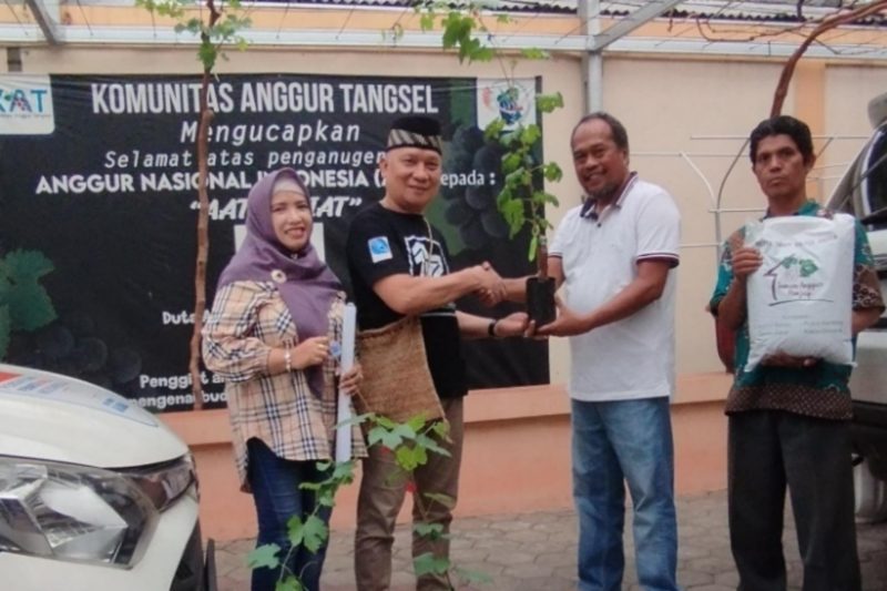 PPWI Nasional bersama ribuan anggota di seluruh Indonesia siap mendukung program penanaman anngur. (Dok. PPWI)