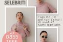 Kami memiliki lebih dari 150 jaringan media online dengan berbagai segmentasi yang akan mendukung Anda, termasuk media kecantikan dan media entertainmemt. Hubungi WhatsApps: 0853 1555 7788. (Dok. Sapulangit Media Center)

